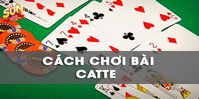 choi bai catte sunwin Quy trình chơi một ván