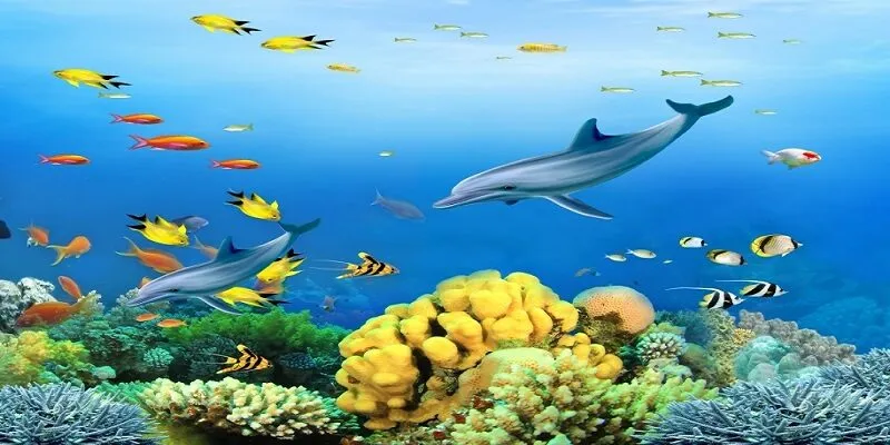 Trong trò chơi sinh vật biển phong phú